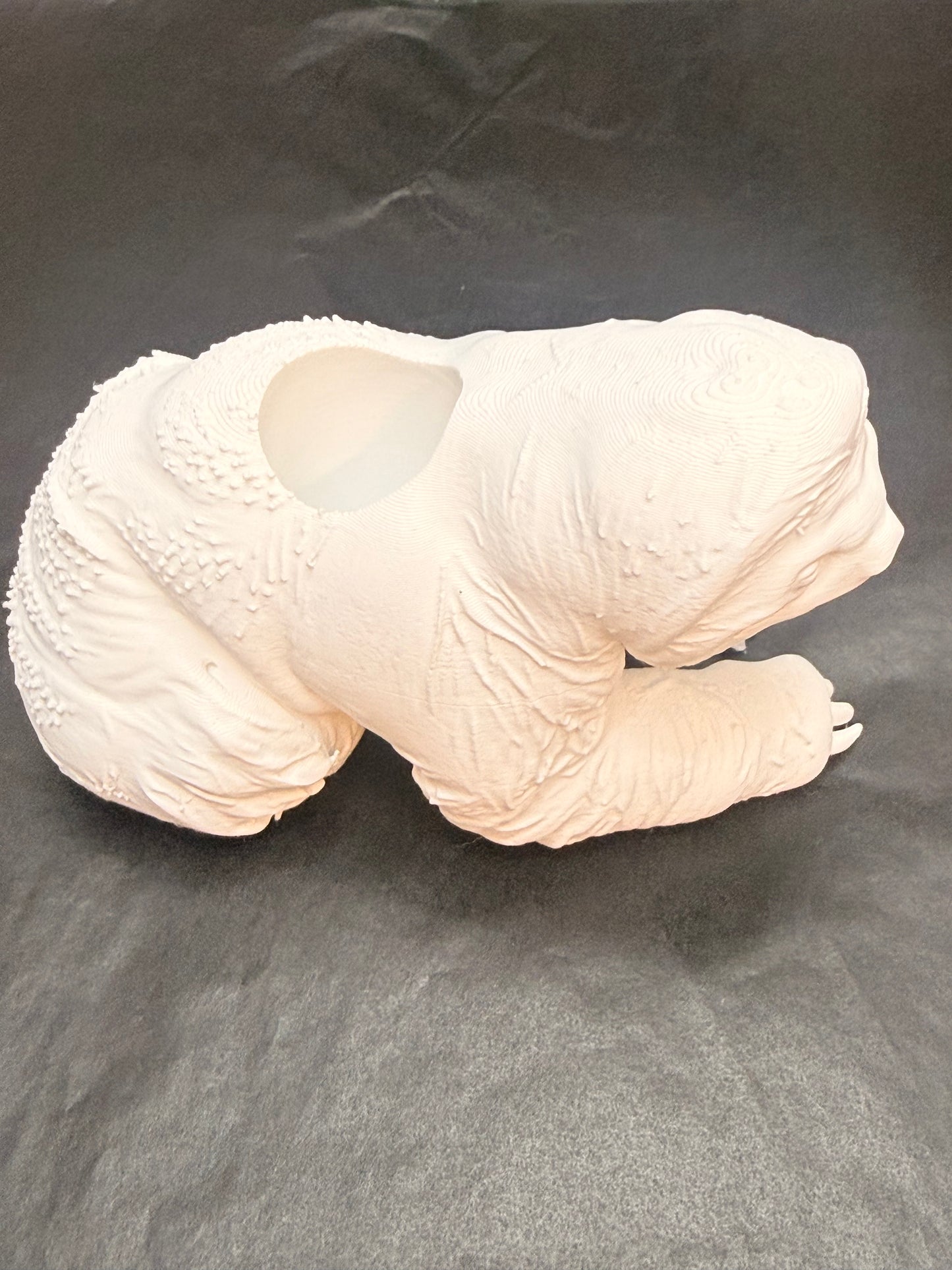 Sloth Tumbler Stand