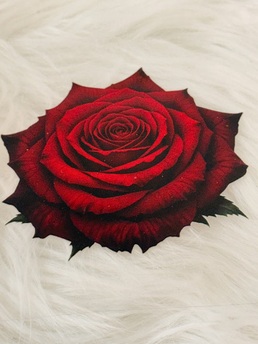 Red Rose