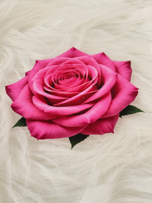 Pink Rose