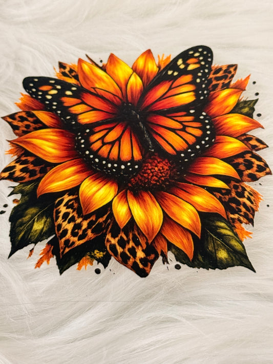 Sunflower Butterfly 1